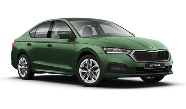 Octavia New