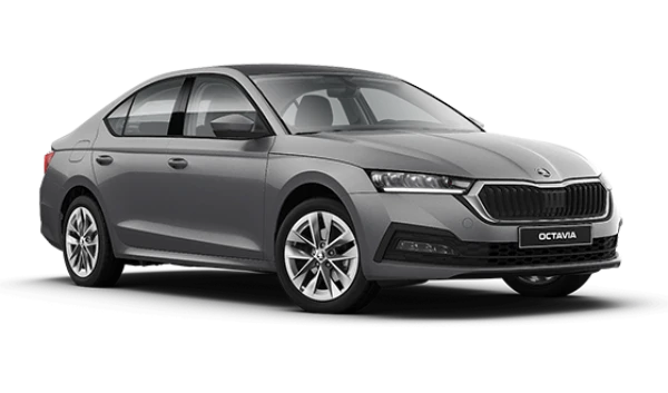 Octavia New