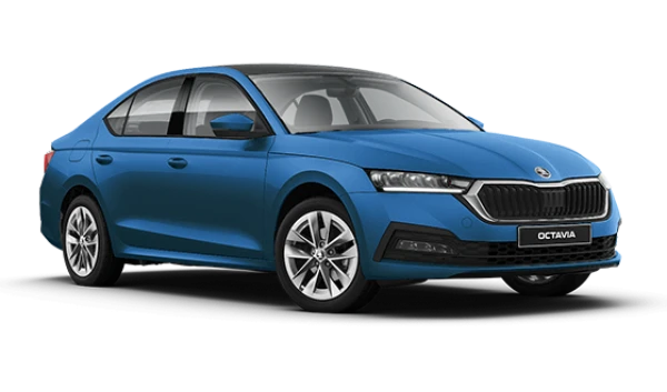 Octavia New