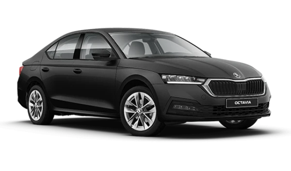 Octavia New