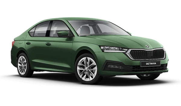 Octavia New